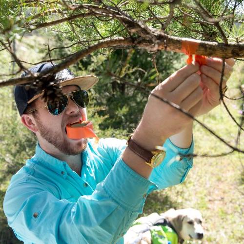 Randolph College students conduct a tree survey at Natural Bridge State Park